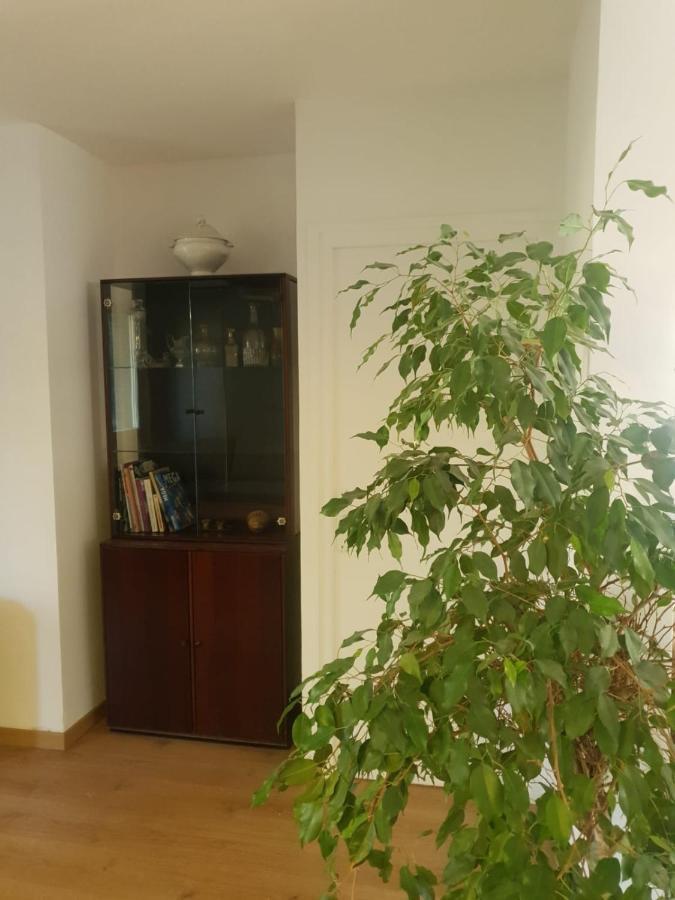 Cosy Parc Thermal Apartment